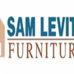 Sam Levitz Profile Picture