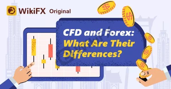 CFD and Forex: What Are Their Differences?-News-WikiFX