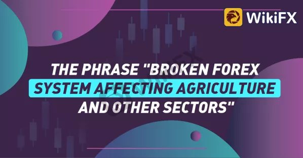 THE PHRASE "BROKEN FOREX SYSTEM AFFECTING AGRICULTURE AND OTHER SECTORS"-News-WikiFX