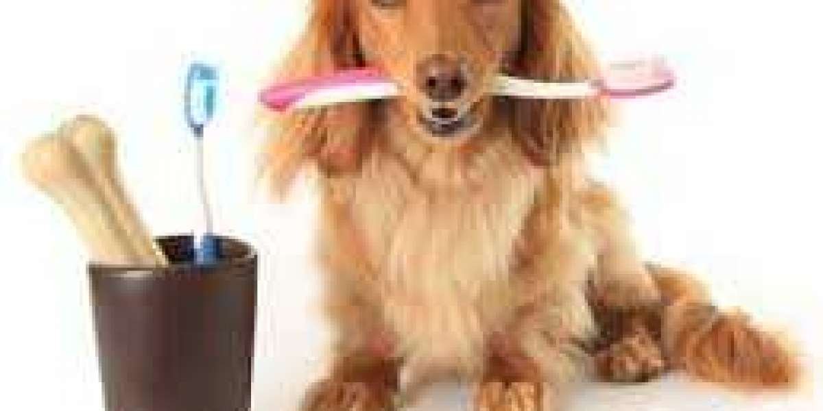Pet Oral Care Market Growth, COVID Impact, Trends Analysis Report 2032