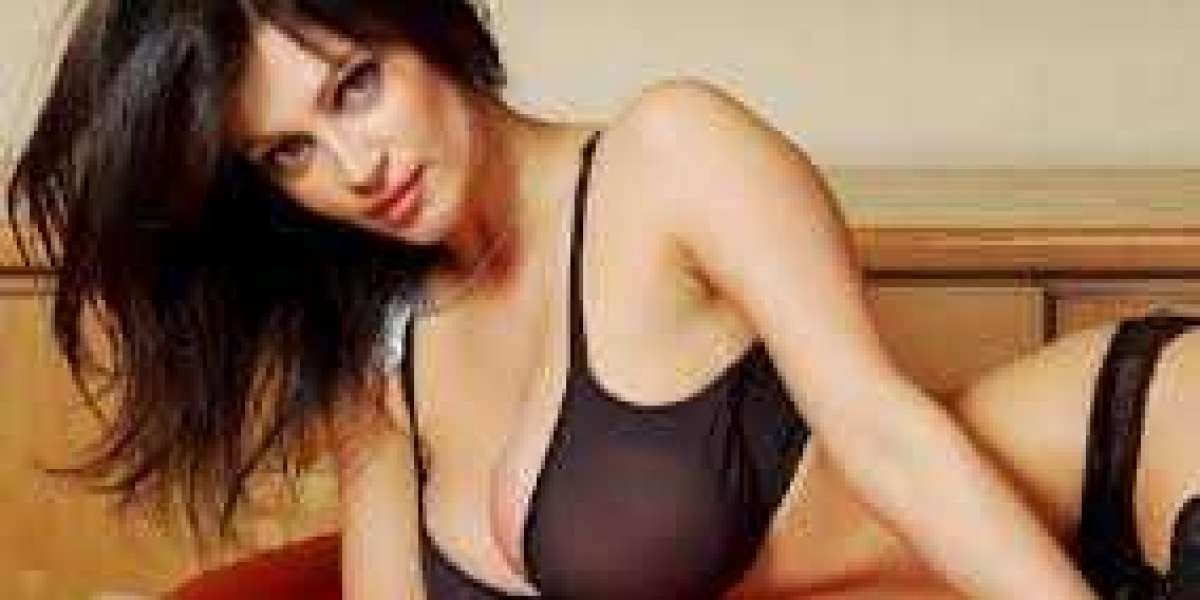 Best five-star hotels in Bikaner for Sexy Call Girls Service