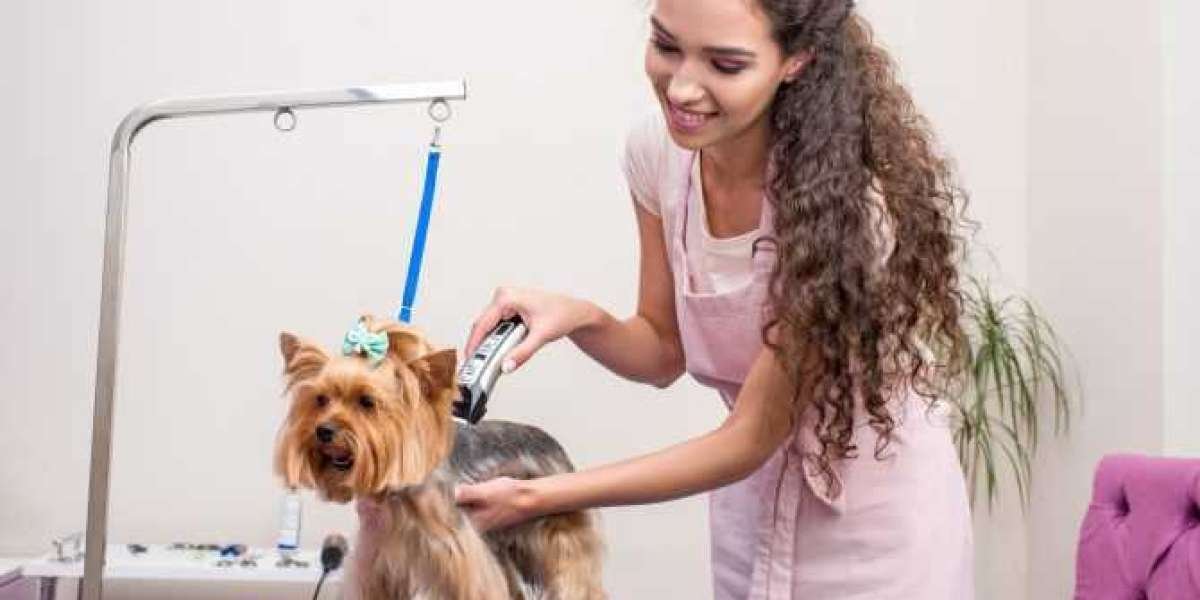 Pet Grooming Market Trends, Size, Competitors Strategy, Regional Analysis and Growth Forecast to 2033