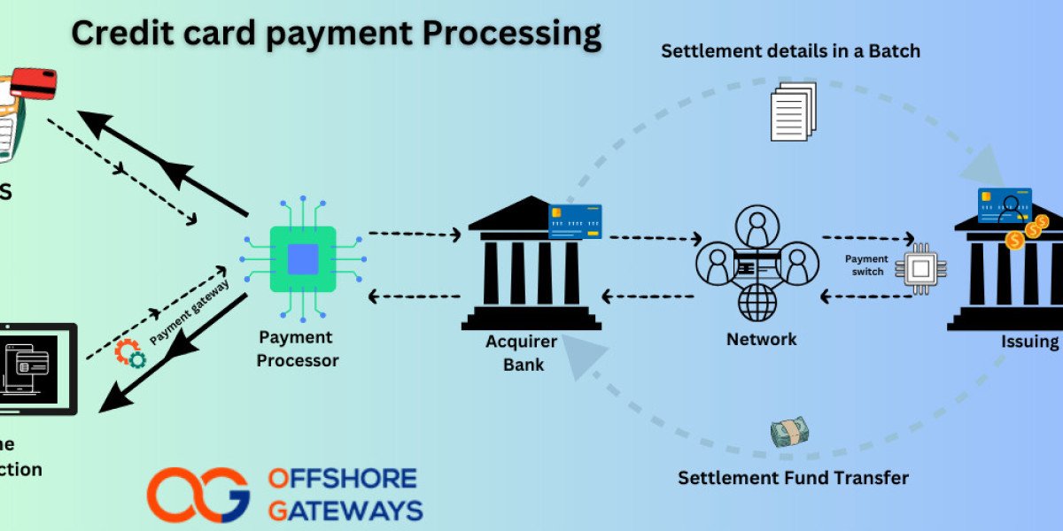 What are the steps of credit card processing Solutions for Payment Processor?