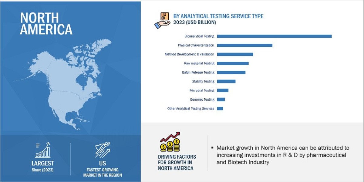 Unveiling Insights: Key Players in the Healthcare Analytical Testing Services Market