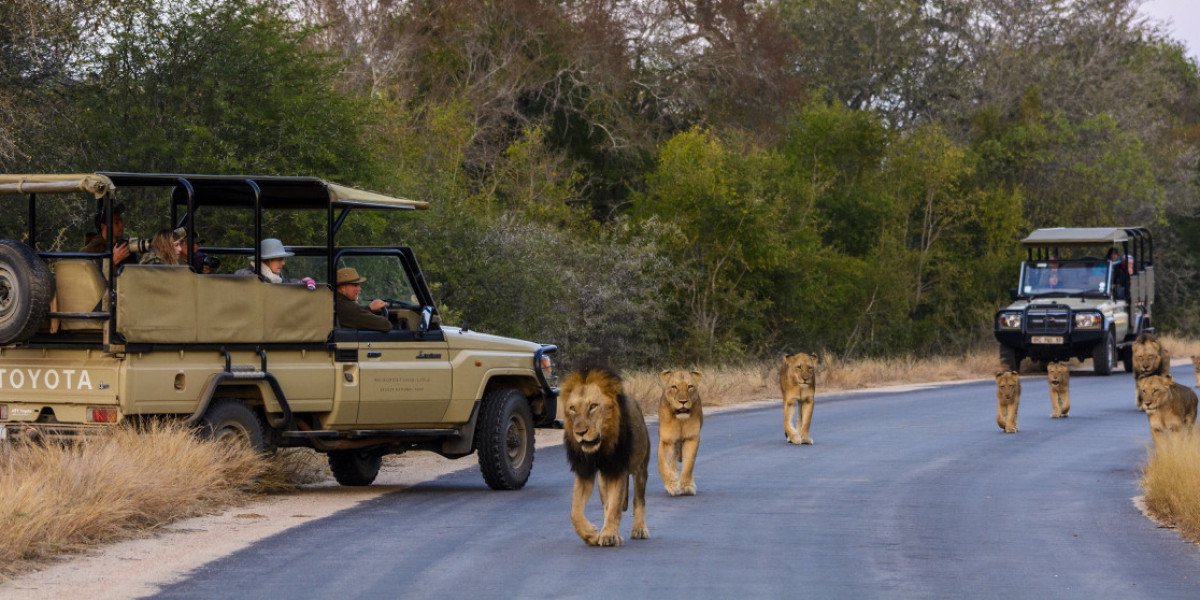 Book the best accommodation in Kruger Park for your unforgettable safari holiday